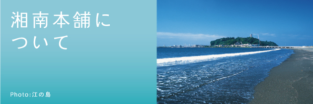 湘南本舗について