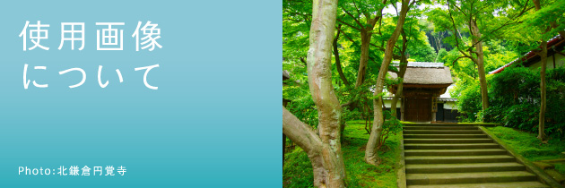 使用画像について